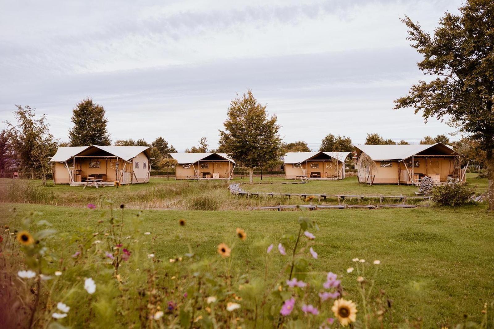 Luxe Glamping Tent Bant Bilik gambar